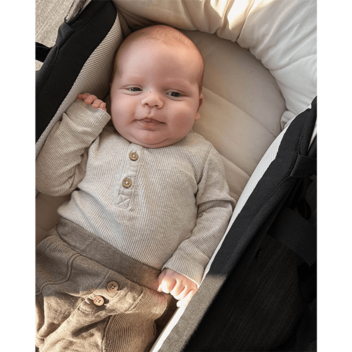 Easygrow | Favn 2 Bærenest | Cord Ivory