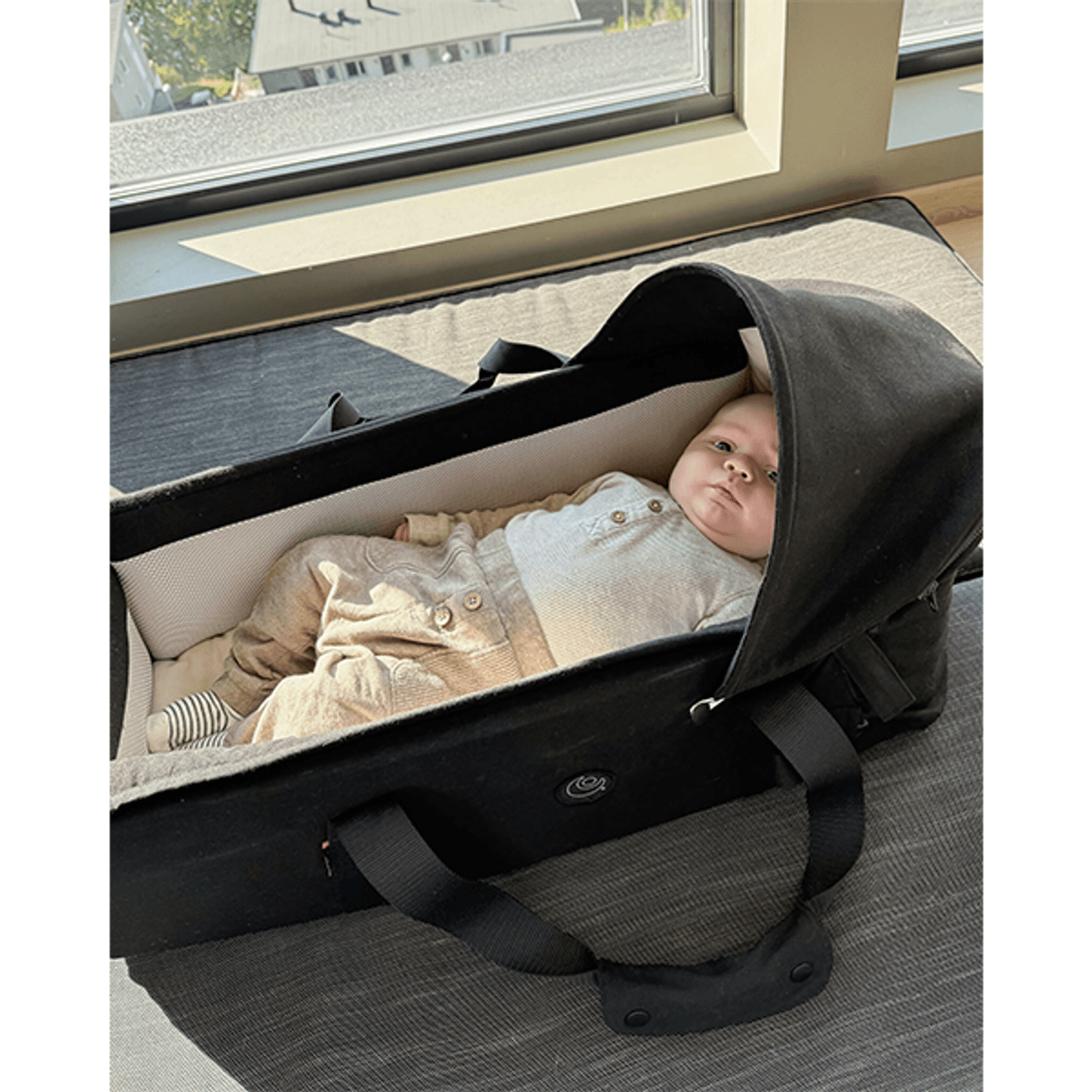 Easygrow | Favn 2 Bærenest | Sand